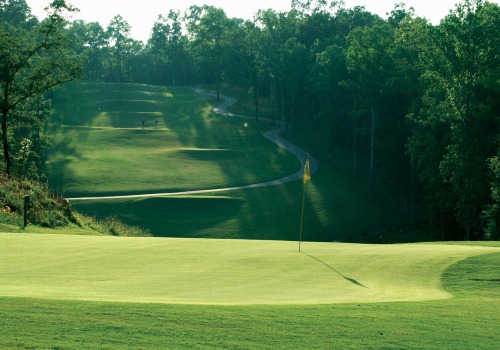 Exploring the World of Golf Events in Fulton County, GA